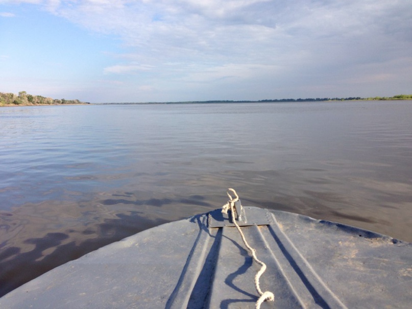 Вячеслав Старцев | Москва
