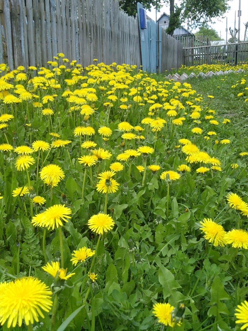 Дмитрий Фатеев | Калуга