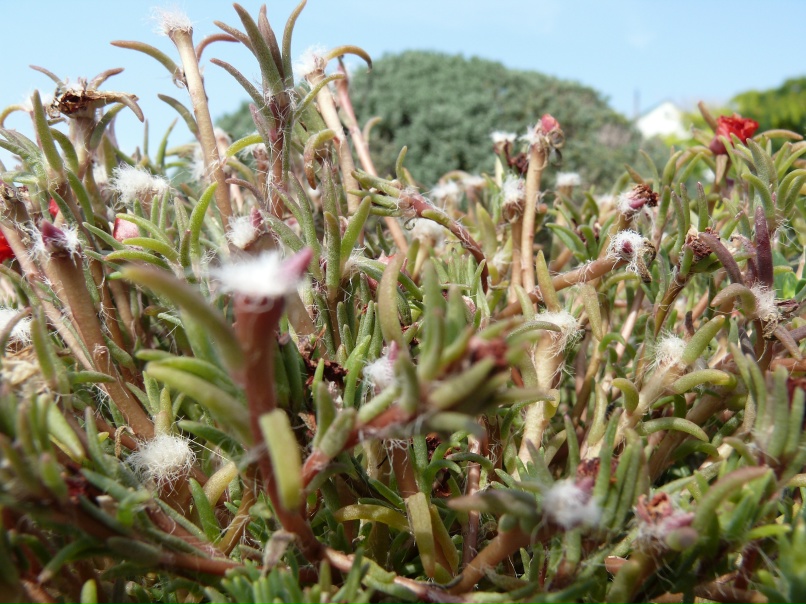 Алексей Сидоренков | Пермь