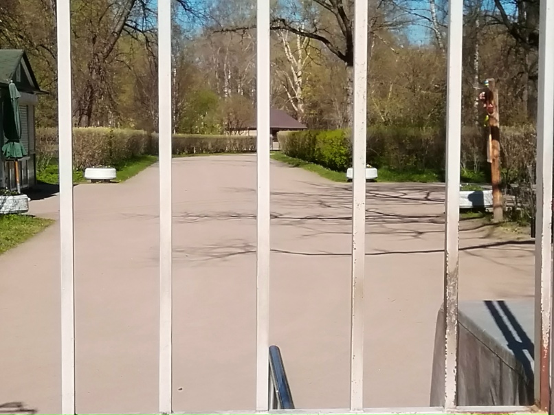 Елена Малых | Санкт-Петербург