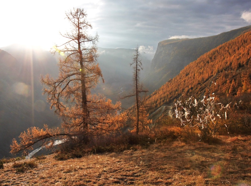 Иван Крюков | Барнаул