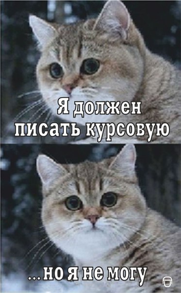 Саша Александрова | Новороссийск