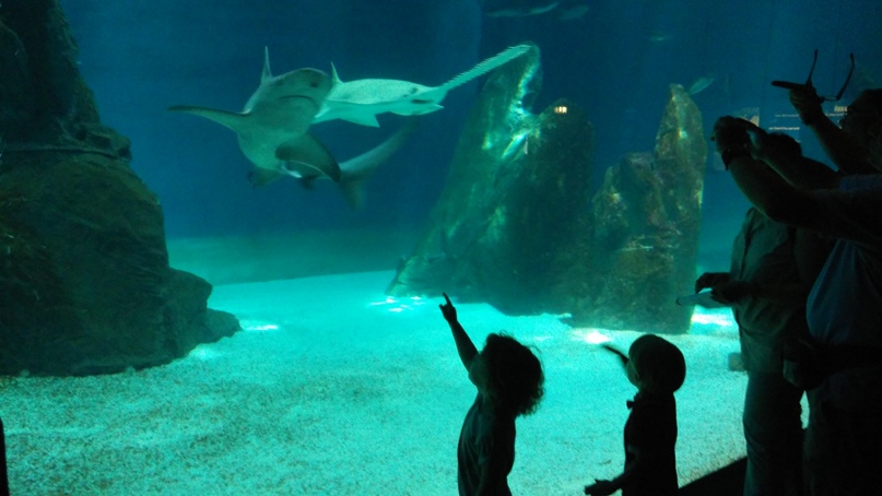 Яна Чижикова | Sankt Moritz