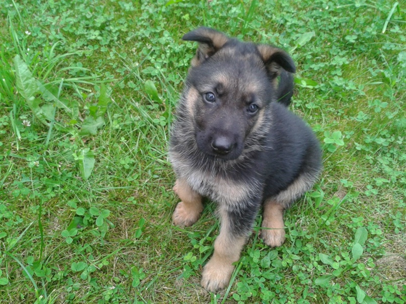 Ольга Захаревич | Минск