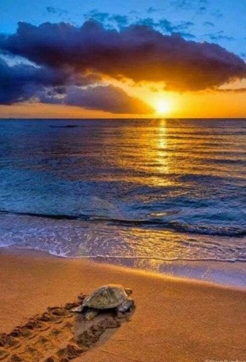 Екатерина Павловская | Нижний Новгород