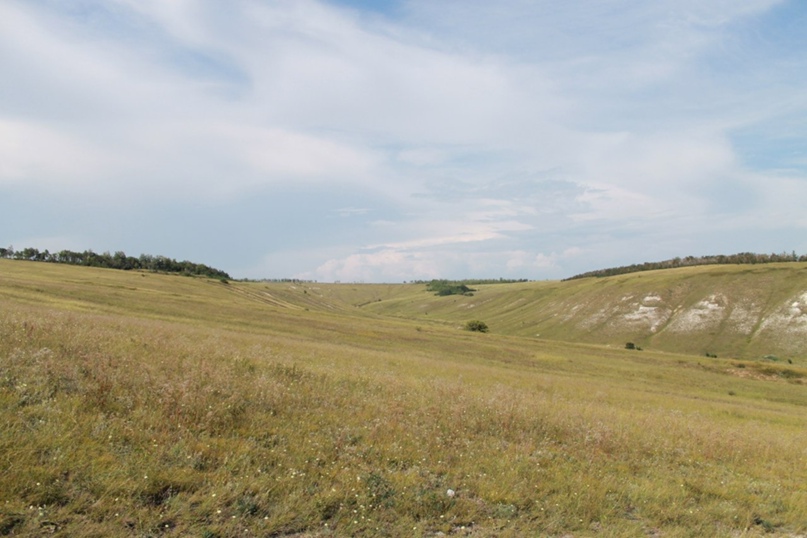 Ольга Супрунова | Сосновый Бор