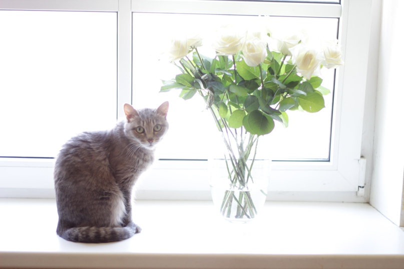 Елена Першина | Тюмень