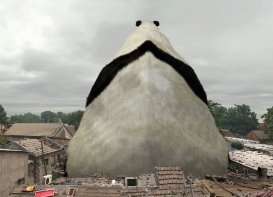 Дарья Тихонова | Санкт-Петербург