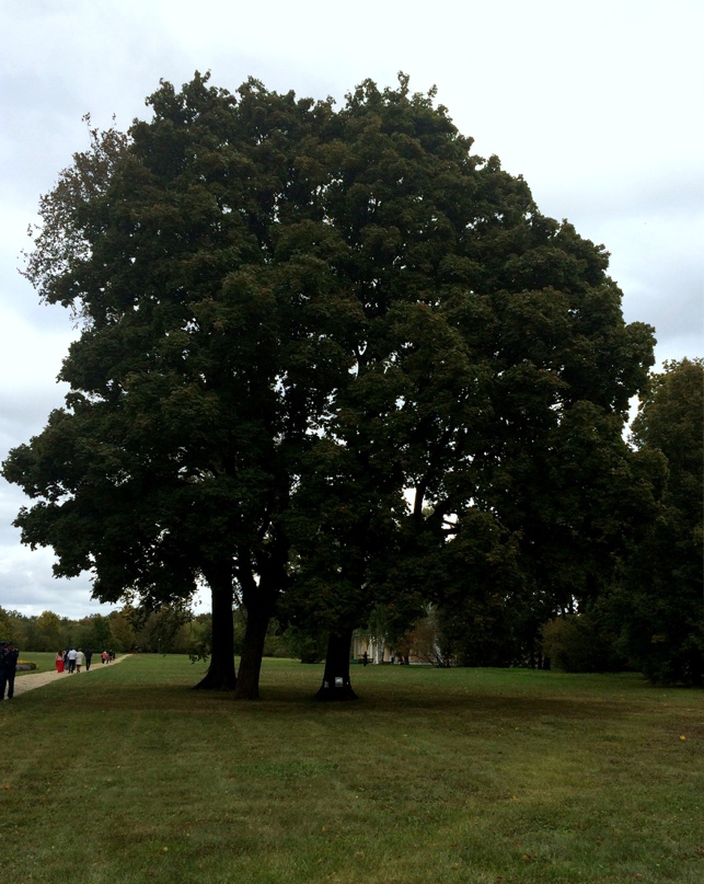 Нина Климова | Саратов