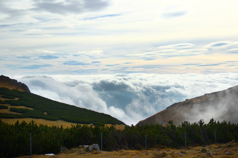 Анастасия Шнайдер | Киев