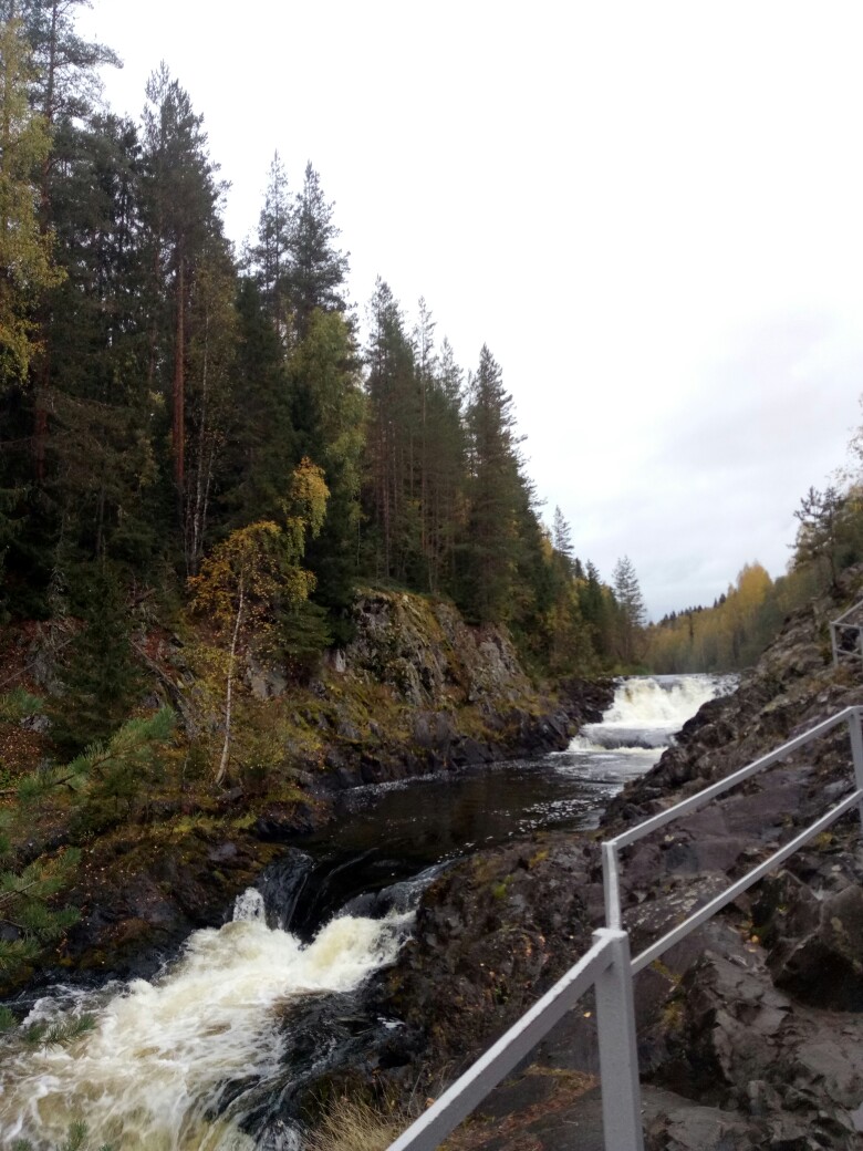 Наталья Ковалёва | Петрозаводск
