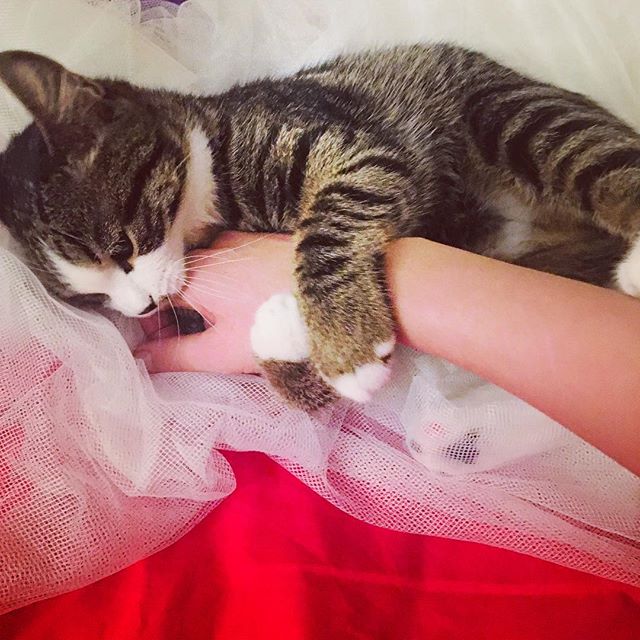 Екатерина Мельникова | Москва