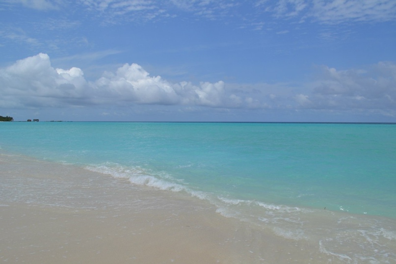 Марина Кириченко | Москва