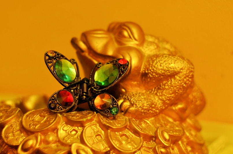 Георгий Максименко | Киев