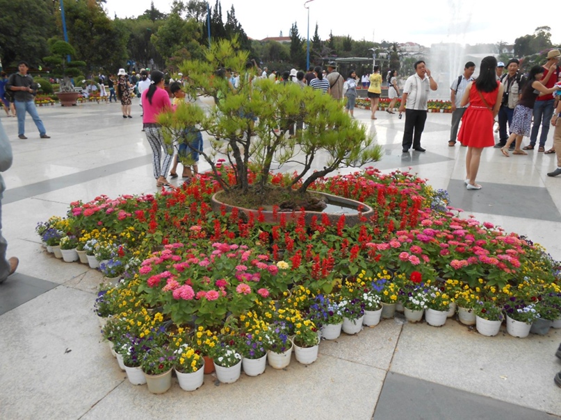 Роман Еремин Rover | Самара