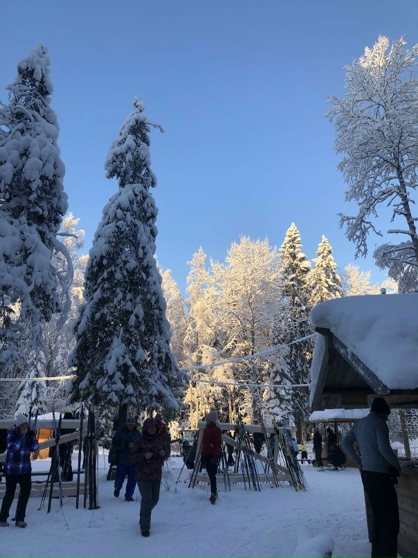 Наталья Деньгина | Петрозаводск