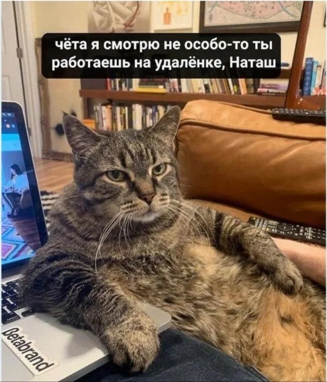 Наталья Богданова | Санкт-Петербург