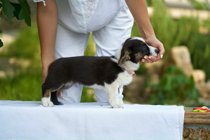 Алевтина Кузнецова | Москва