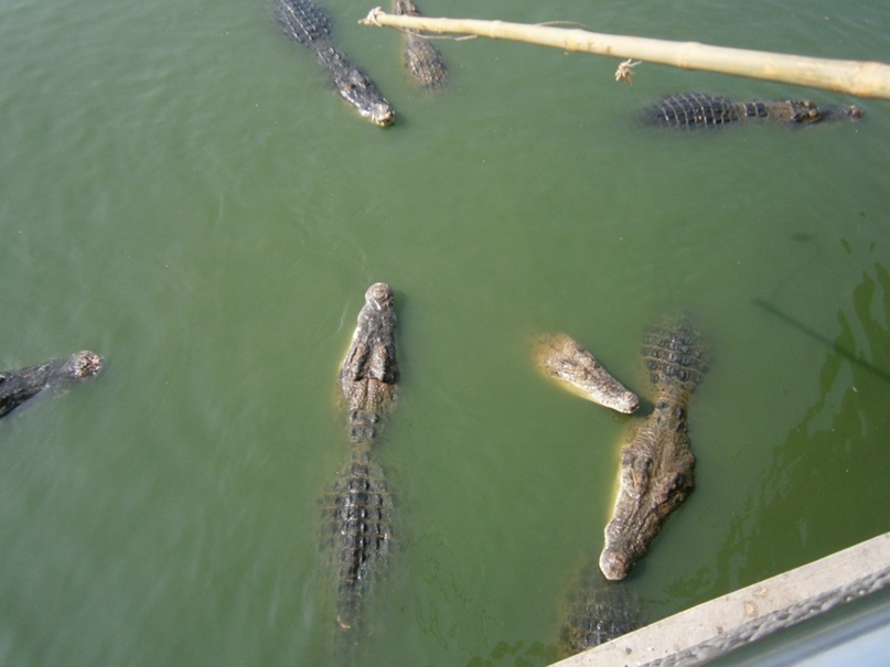 Дмитрий Долгополов | Москва