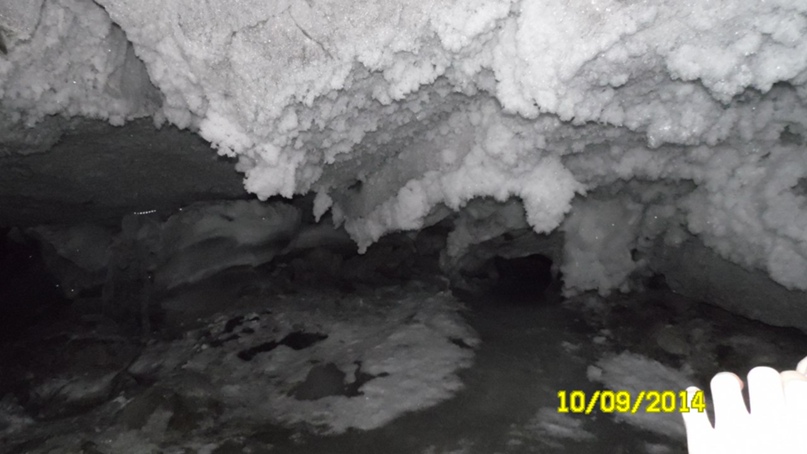 Андрей Горшенин | Ижевск