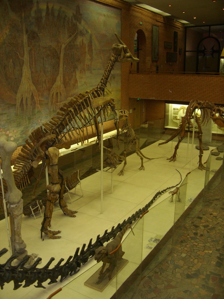 Андрей Ковалёв ☢ NC-AF-112 ☢ | Белгород