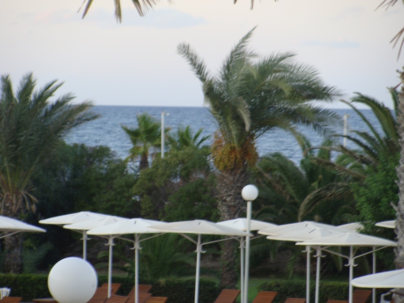 Михаил Сурков | Санкт-Петербург