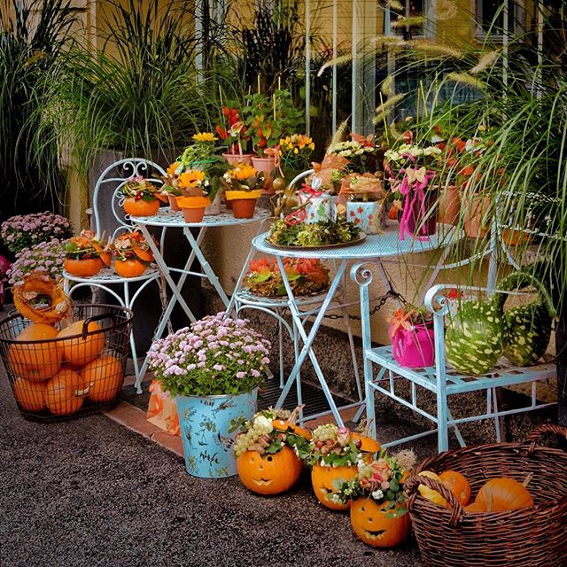 Елена Голикова | Москва