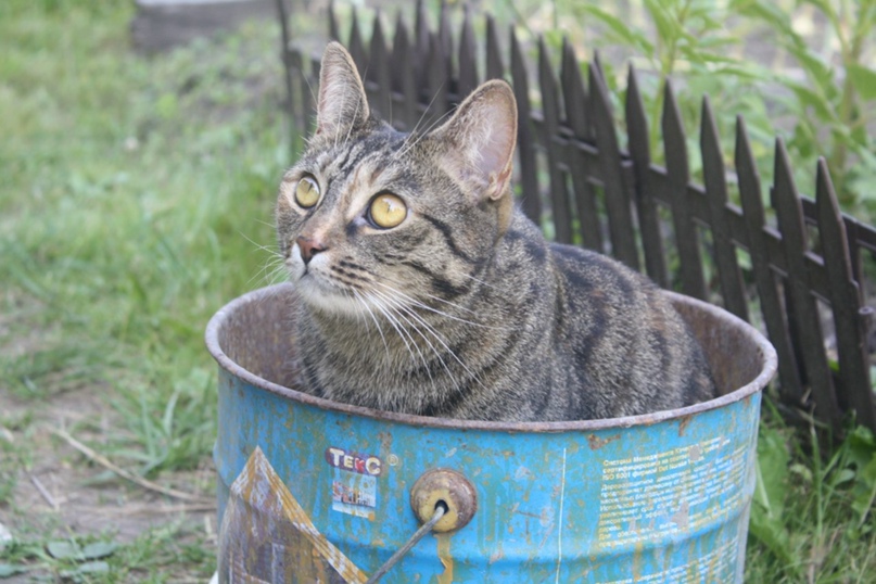 Виктория Богомолова | Санкт-Петербург