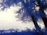 Наталья Беленкова | Тихвин