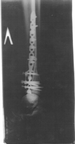 Makc Boikov | Санкт-Петербург