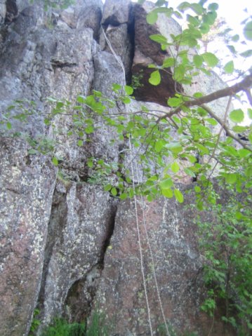 Даниил Павлов | Санкт-Петербург