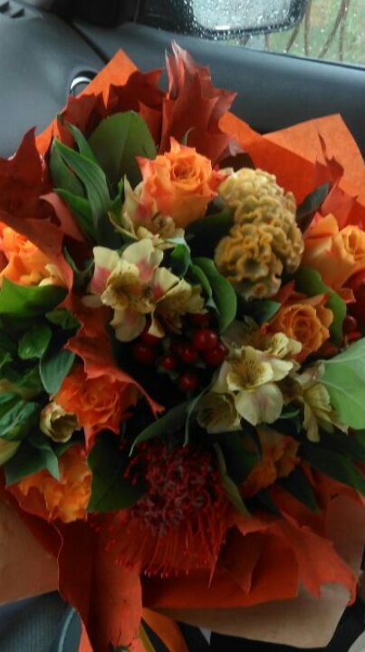 Вера Пак | Казань