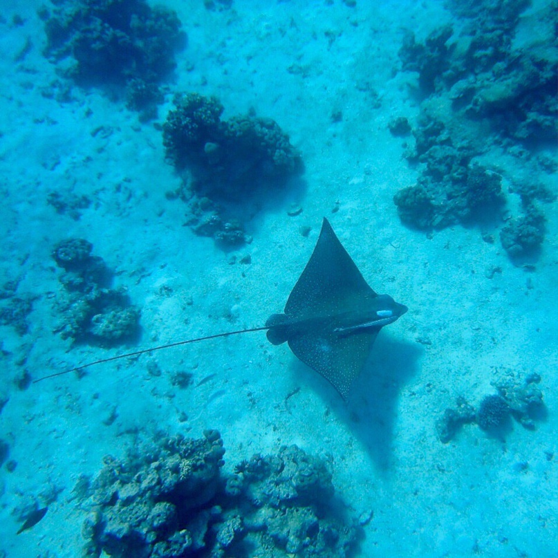 Елена Тузова | Санкт-Петербург