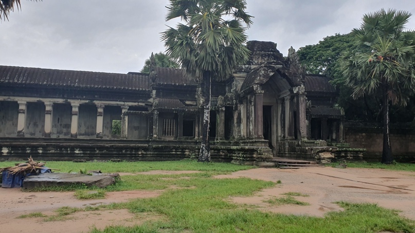 Дмитрий Фёдоров | Пушкино