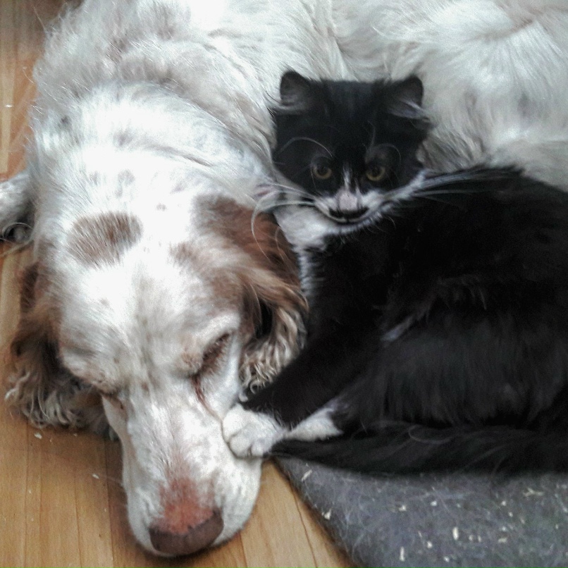 Анастасия Калинина | Санкт-Петербург