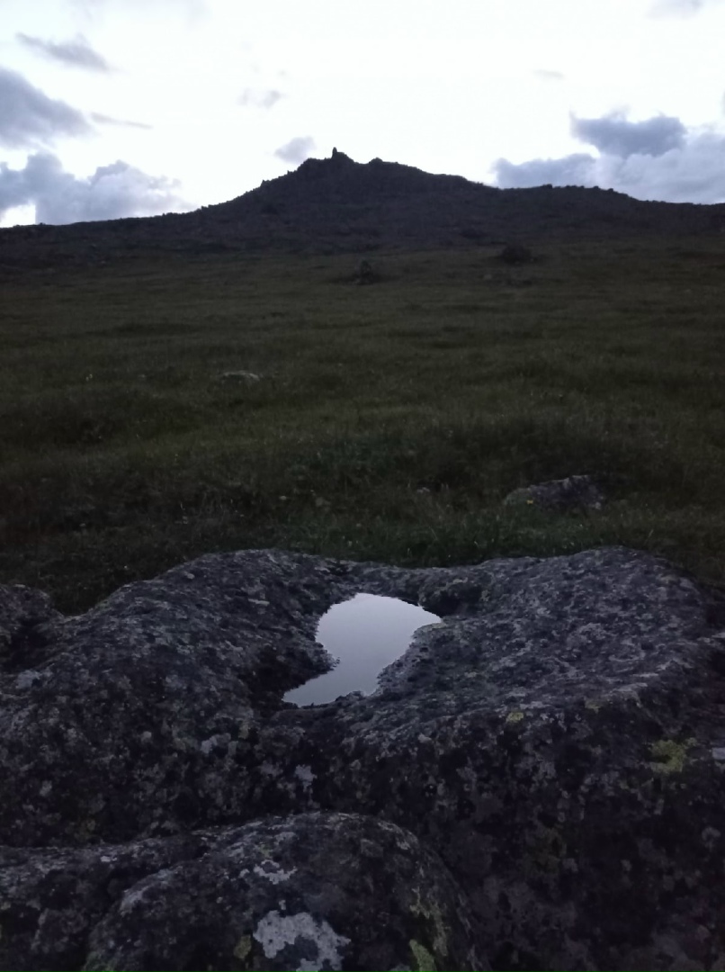 Евгения Цветкова | Сургут