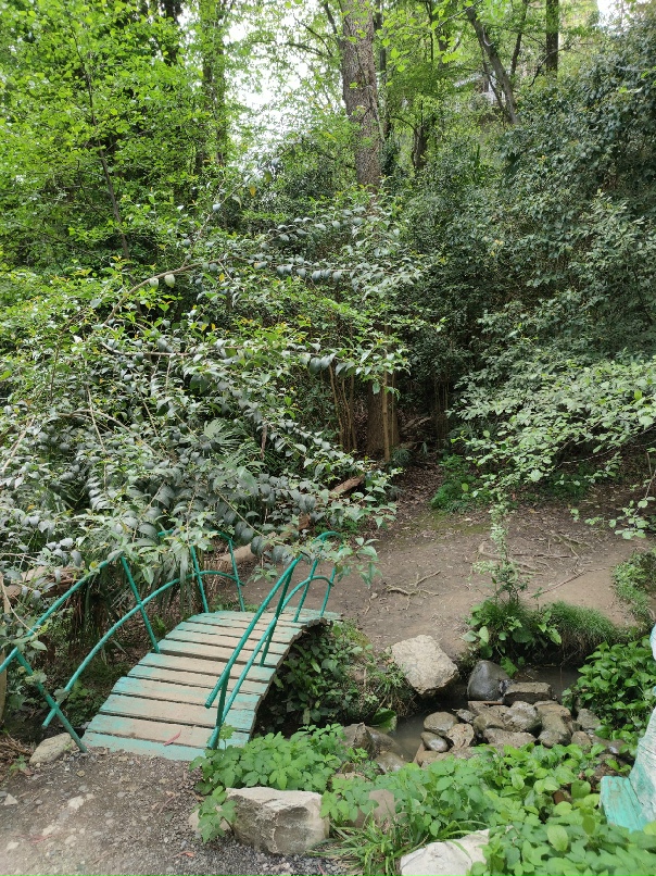 Денис Азаров | Железногорск