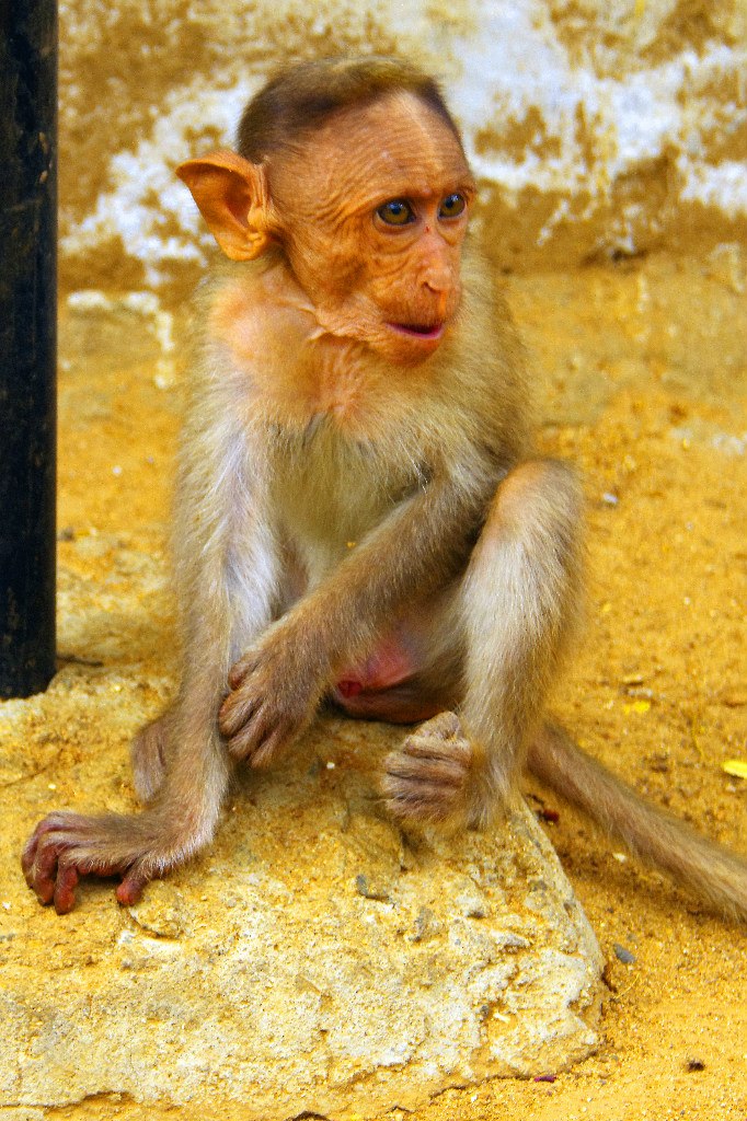 Эльдар Габдуллин | Москва