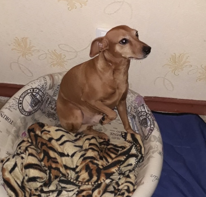 Ирина Чистова | Санкт-Петербург