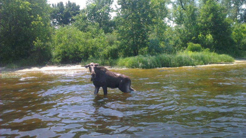 Александр Бережной | Киев