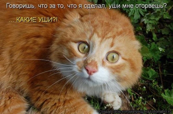 Надежда Гуляева | Санкт-Петербург