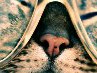 Катерина Котова ♥ Adema ♥ | Наро-Фоминск