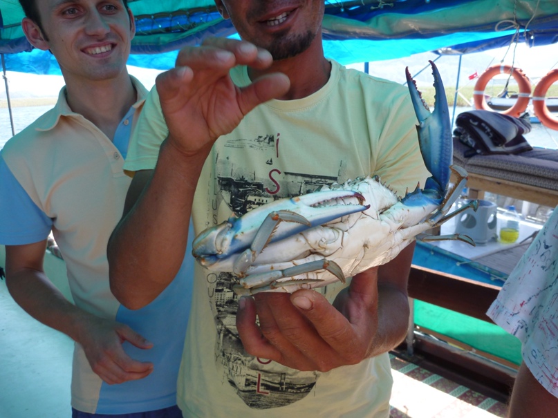 Ольга Станиславская | Киев