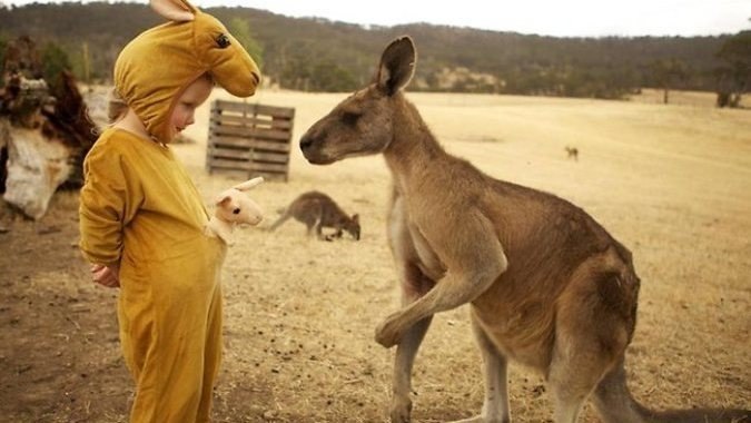 Алексей Антоничев | Псков