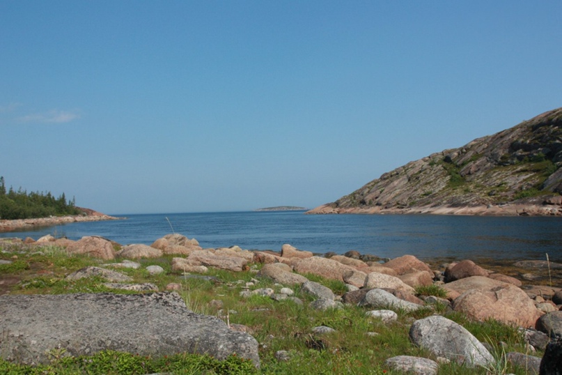 Михаил Захаров ПолуПлюшевый | Иваново