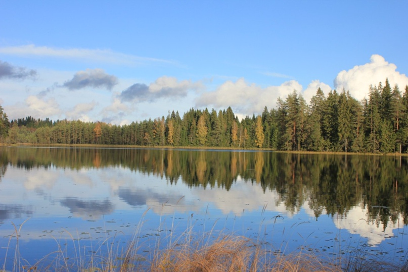 Марина Плеханова | Москва