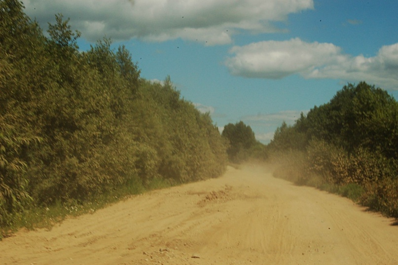 Олег Ершов Filin | Санкт-Петербург