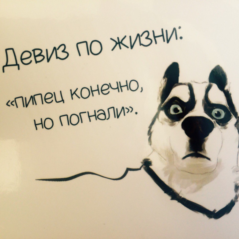 Денис Арсеньев | Санкт-Петербург