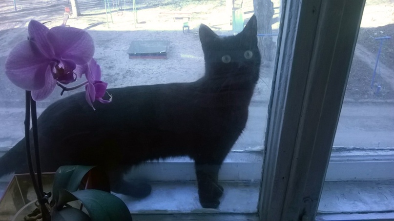 Ирина Николаева | Новочеркасск