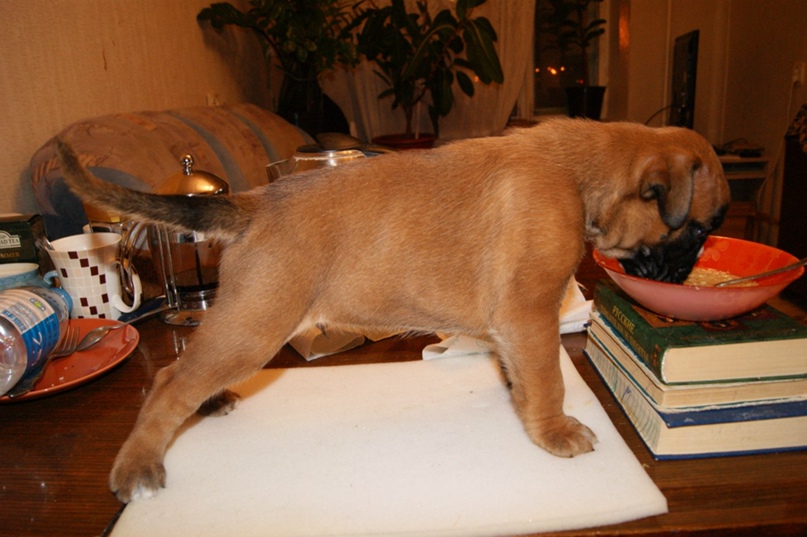 Владислав Меркулов Владимирович | Казань